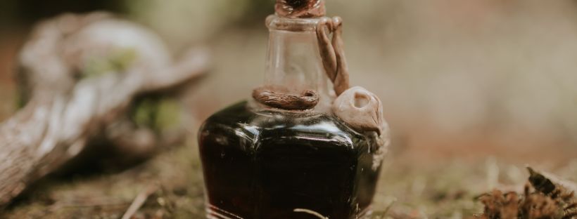 A small glass bottle of dark liquid with a cork-and-leaf stopper, sitting on mossy forest ground among scattered leaves and a piece of driftwood.